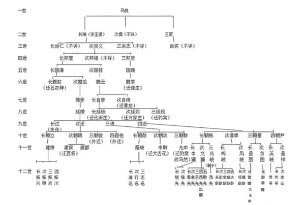 常见的家谱格式有哪几种？