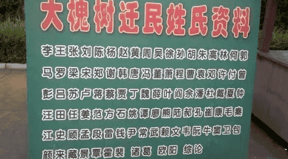 当年的大槐树移民移了多少姓氏，你知道吗？